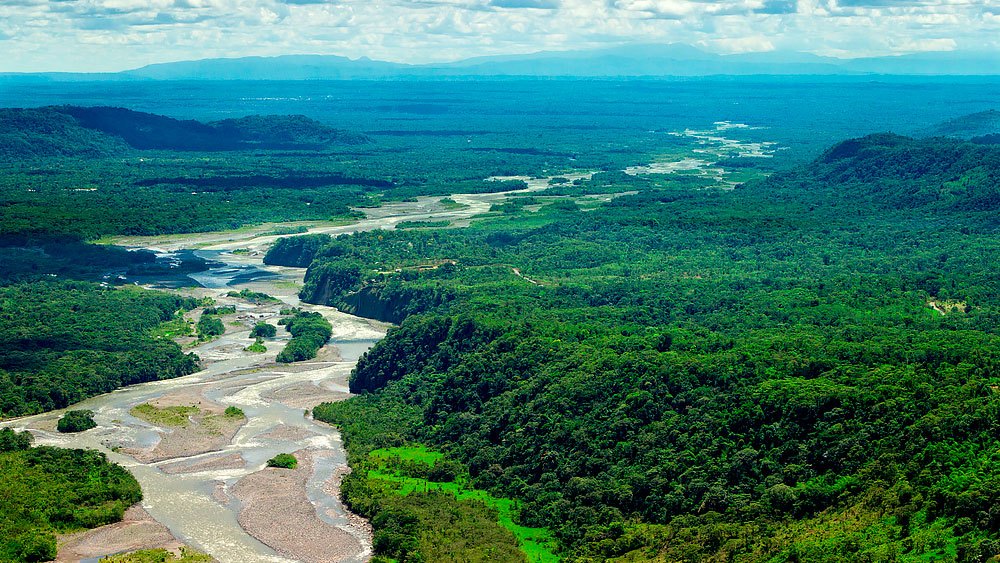 Опасности Амазонки