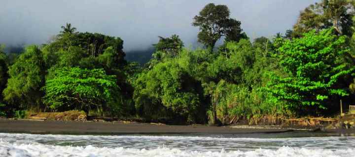природа Камеруна 