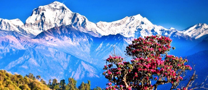 природа Непала 