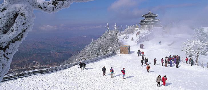 горнолыжные курорты Южной Кореи