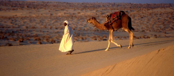 обычаи и традиции Объединенных Арабских Эмиратов