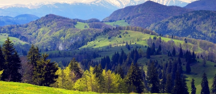 География Румынии