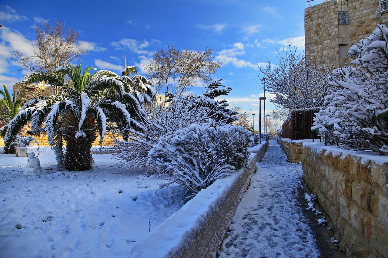 Фото Израиля зимой