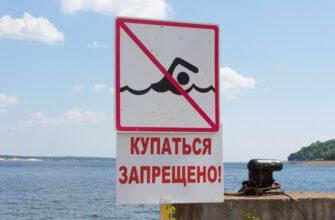 Не купайтесь на южном крымском берегу! К счастью, временно