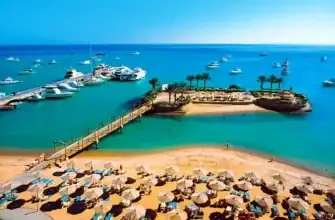 Раскрыта новая версия, и россияне оказались невиновными